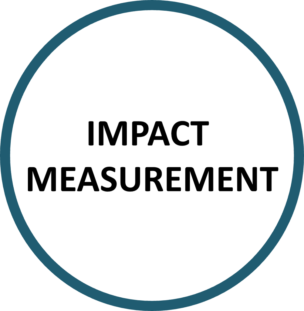 Impact Measurement - English